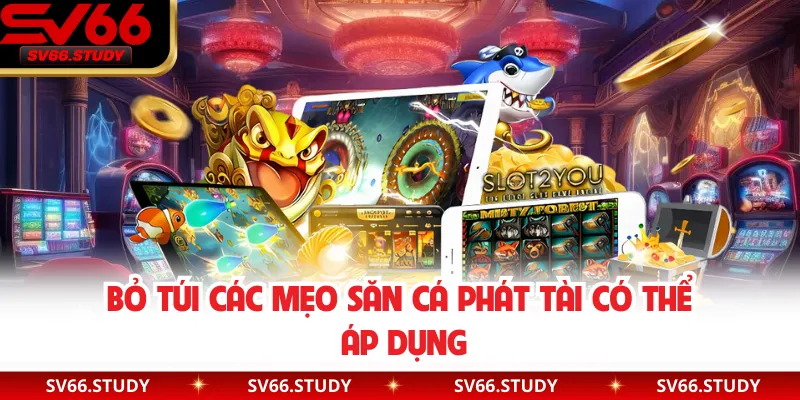 Bỏ túi các mẹo săn cá phát tài có thể áp dụng
