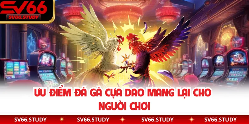 Ưu điểm đá gà cựa dao mang lại cho người chơi